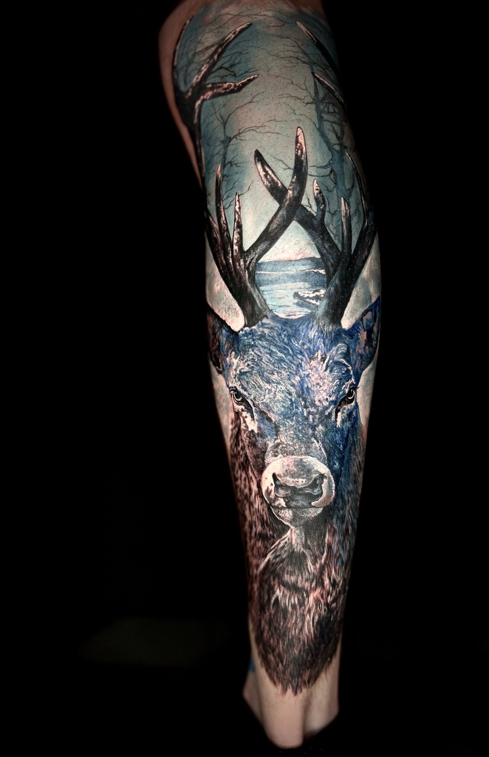 STEVEN - TATUATORE RESIDENT 57 577DF21B 438D 4B2C B251 BE7E0E10A703 scaled - 58