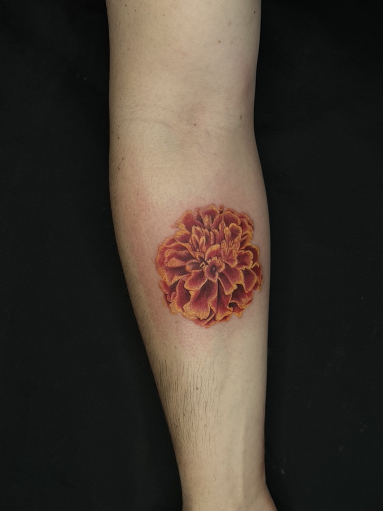 GIULA - TATUATRICE RESIDENT 23 7B8B015B 8110 453F 9010 9B88D3E18DB2 1 105 c - 24